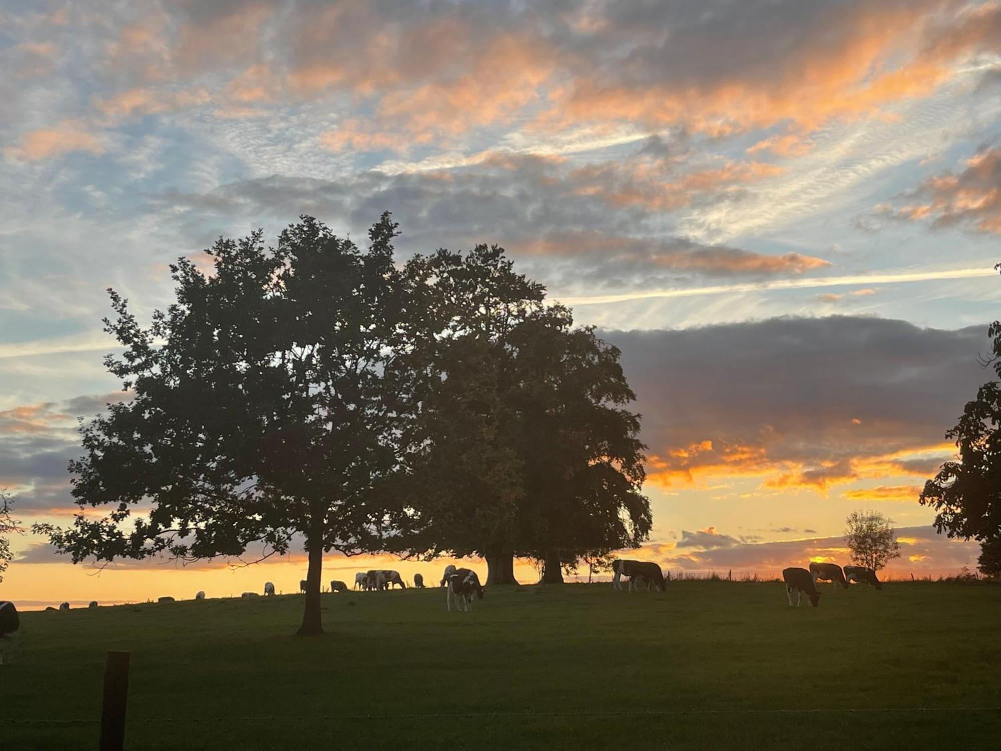 Orchardleigh Estate Hotel ฟรูม ภายนอก รูปภาพ
